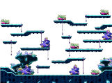 Stage 1: Road to the Coral Forest