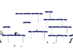 Stage 3: Mirror-touched Sea
