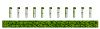 Carnival Field <Battle Field>