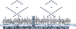 Slumbering Dragon Island Mountains: Forest