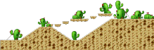Cactus Desert - 3