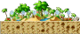Hidden Oasis