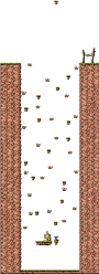 Forest of Tenacity