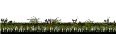 Warped Swamp Region