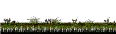 Warped Swamp Region