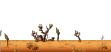 Outlaw-Infested Wastes