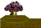 Burning Maple Tree Hill 1