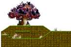 Burning Maple Tree Hill 2