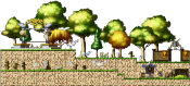 Physical Training Yard