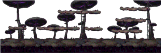 Fungos Forest