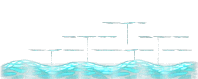 Star-Swallowing Sea