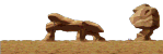 Somewhere Beyond the Refuge