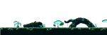 Deep Within the Forest