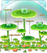Tyrobot Playground