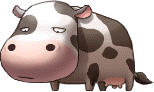 Dairy Cow