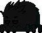 Baby Spider