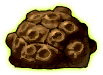Meteorite 1