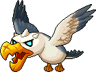 Monster Gull
