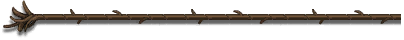Wick