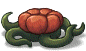 Small Flower
