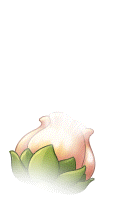 Yellow Bud