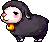 Black Sheep