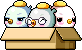 Chicks