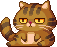 Ankko