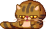 Ankko