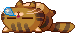 Ankko