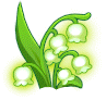 银铃花
