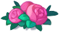 芍药