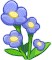 野花