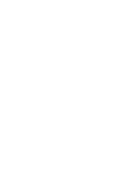 家宝石像